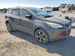 Ford Escape 2016