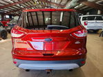 Ford Escape 2014