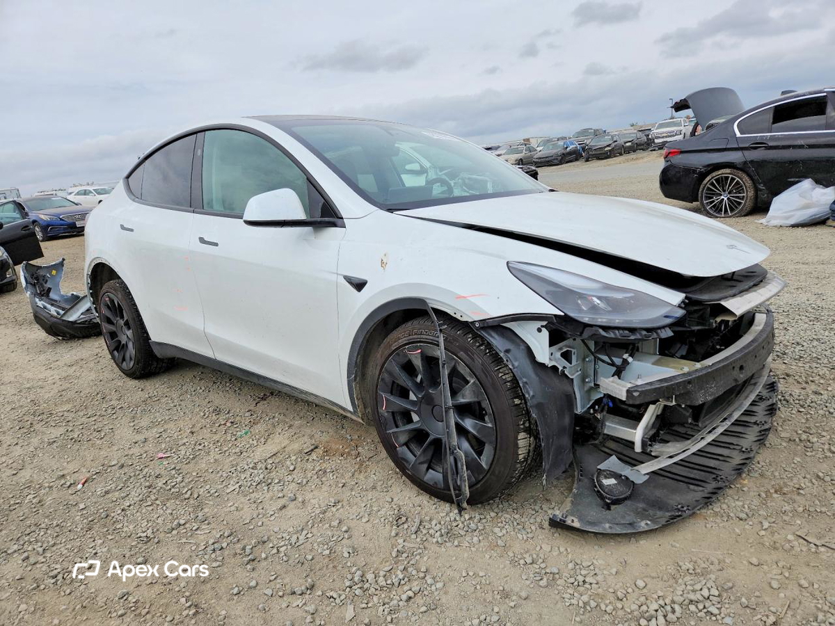 Tesla Model Y 2024