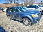 Ford Escape 2011