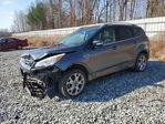 Ford Escape 2015
