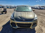Ford Escape 2013