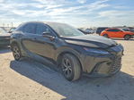 Lexus RX 2024