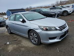 Honda Accord 2013