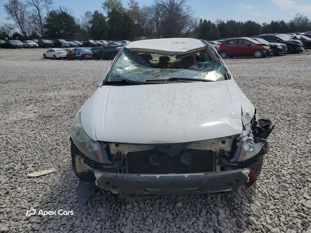 Honda Accord 2010