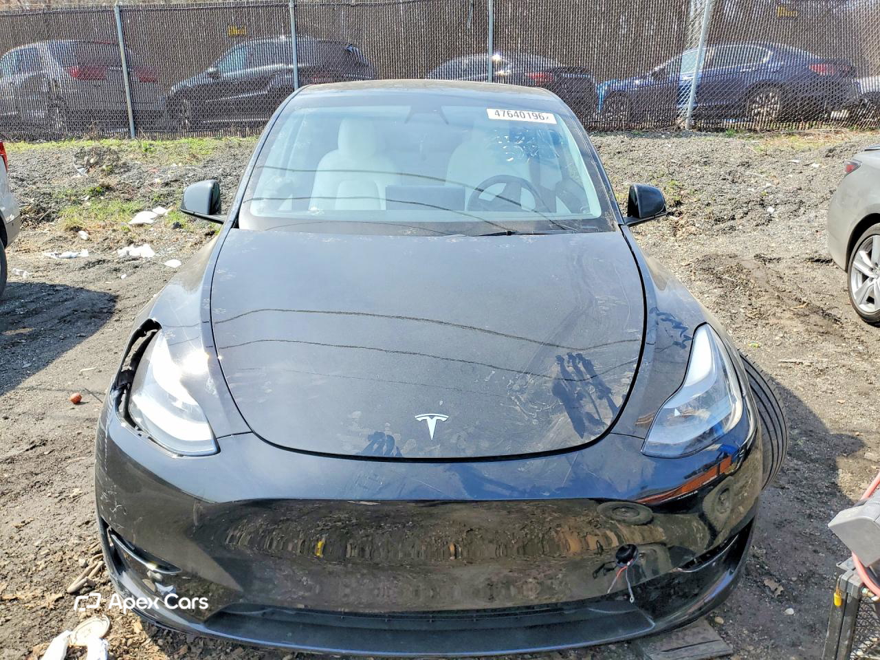 Tesla Model Y 2021