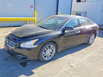 Nissan Maxima 2013