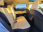 Lexus NX 2019