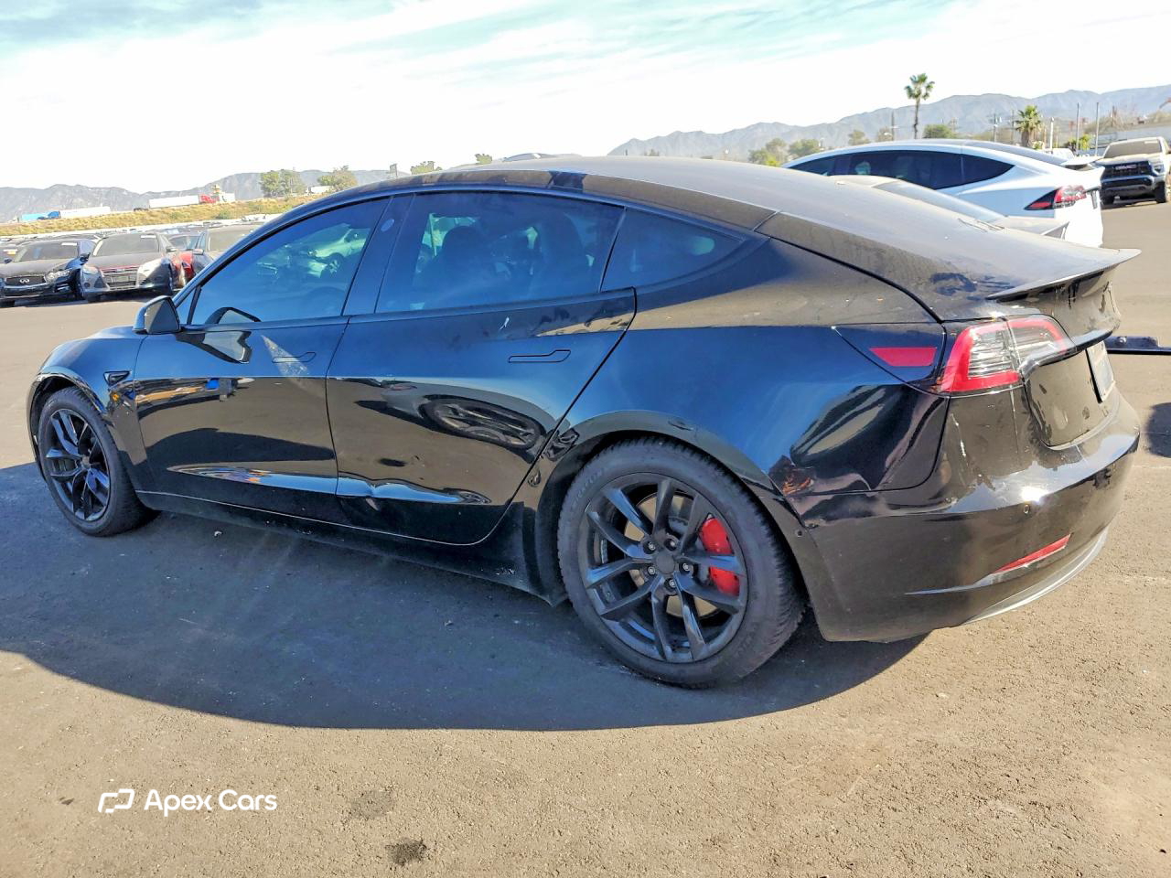 Tesla Model 3 2022