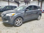 Ford Escape 2015