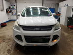 Ford Escape 2016