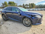 Lexus  2024