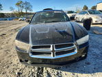 Dodge Charger 2013