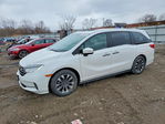Honda Odyssey 2024