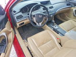 Honda Accord 2010