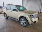 Ford Escape 2012