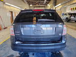Ford Edge 2007