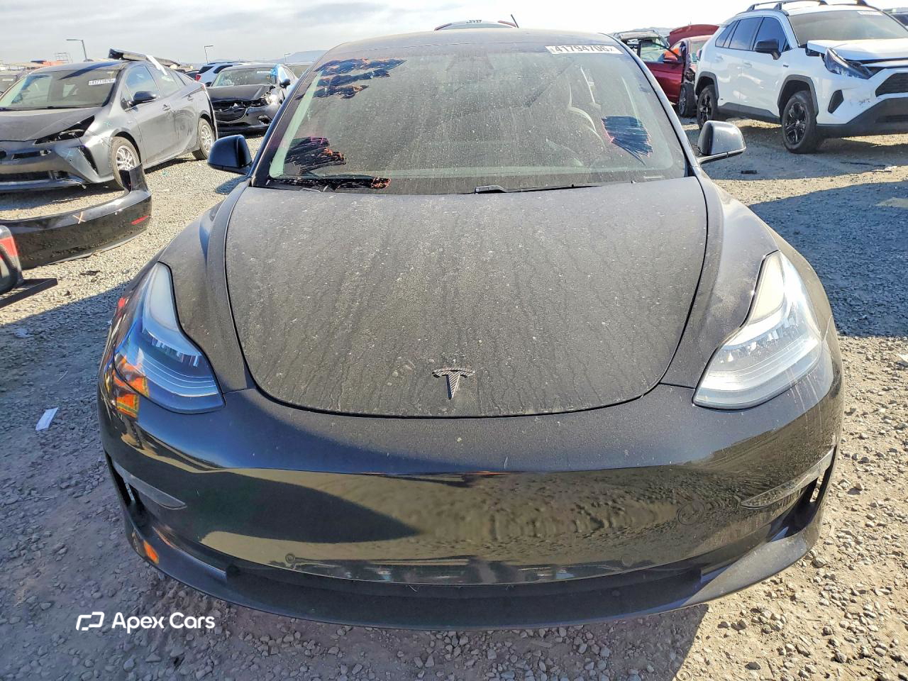 Tesla Model 3 2019