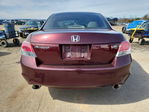 Honda Accord 2010