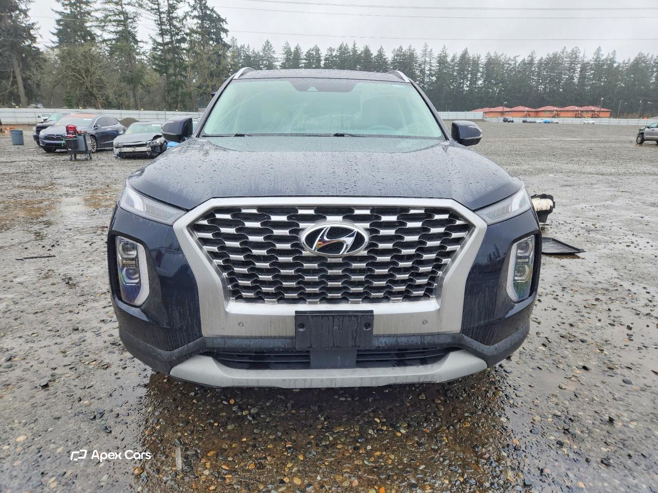 Hyundai Palisade 2022