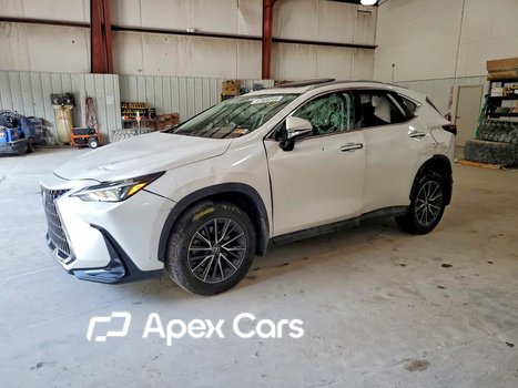 Lexus NX 2025 - Image 1 of 14