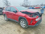 Toyota RAV 4 2024