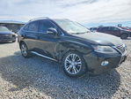 Lexus RX 2013