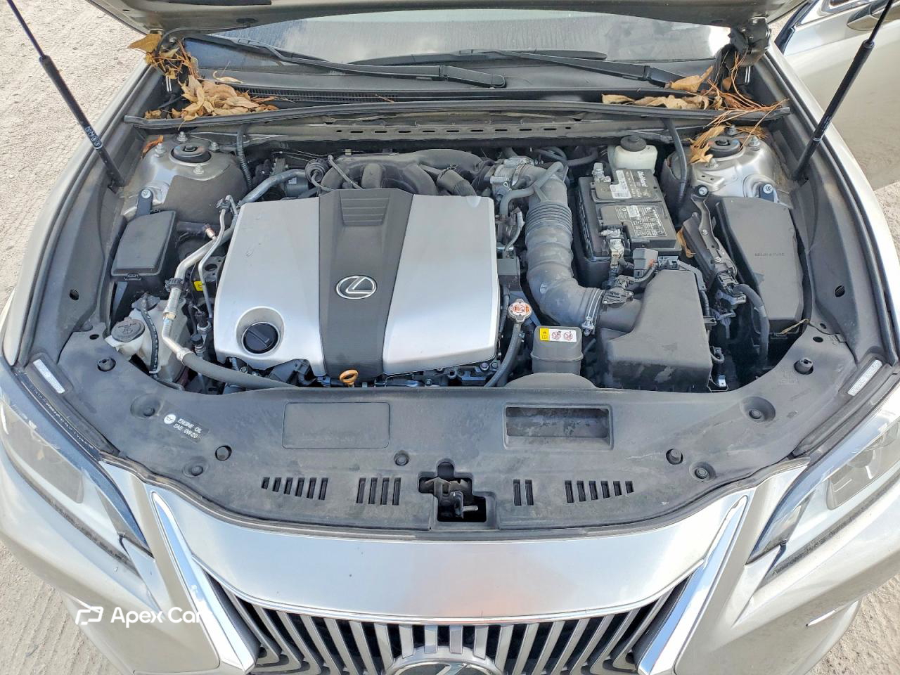 Lexus ES 2021