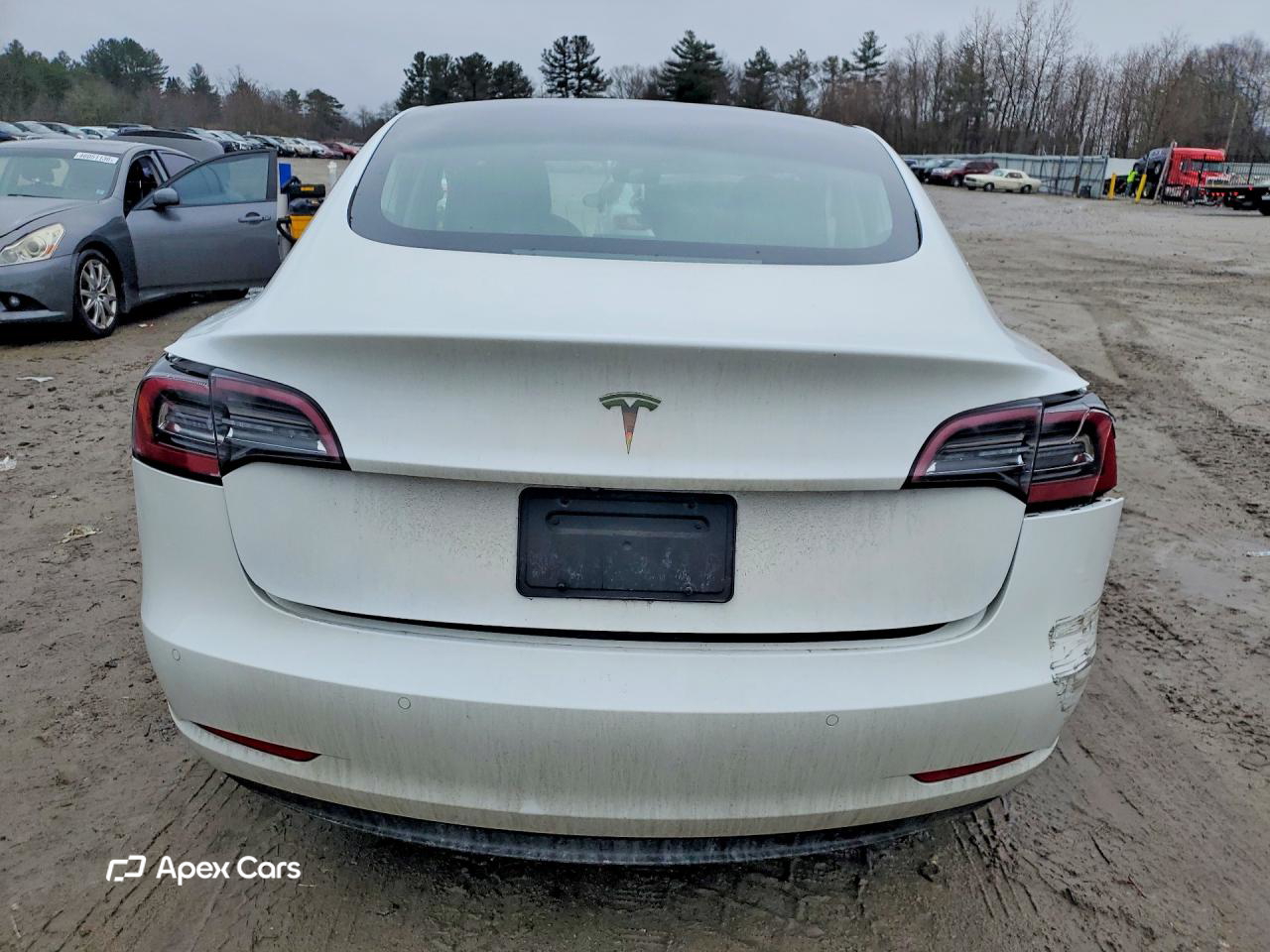 Tesla Model 3 2020