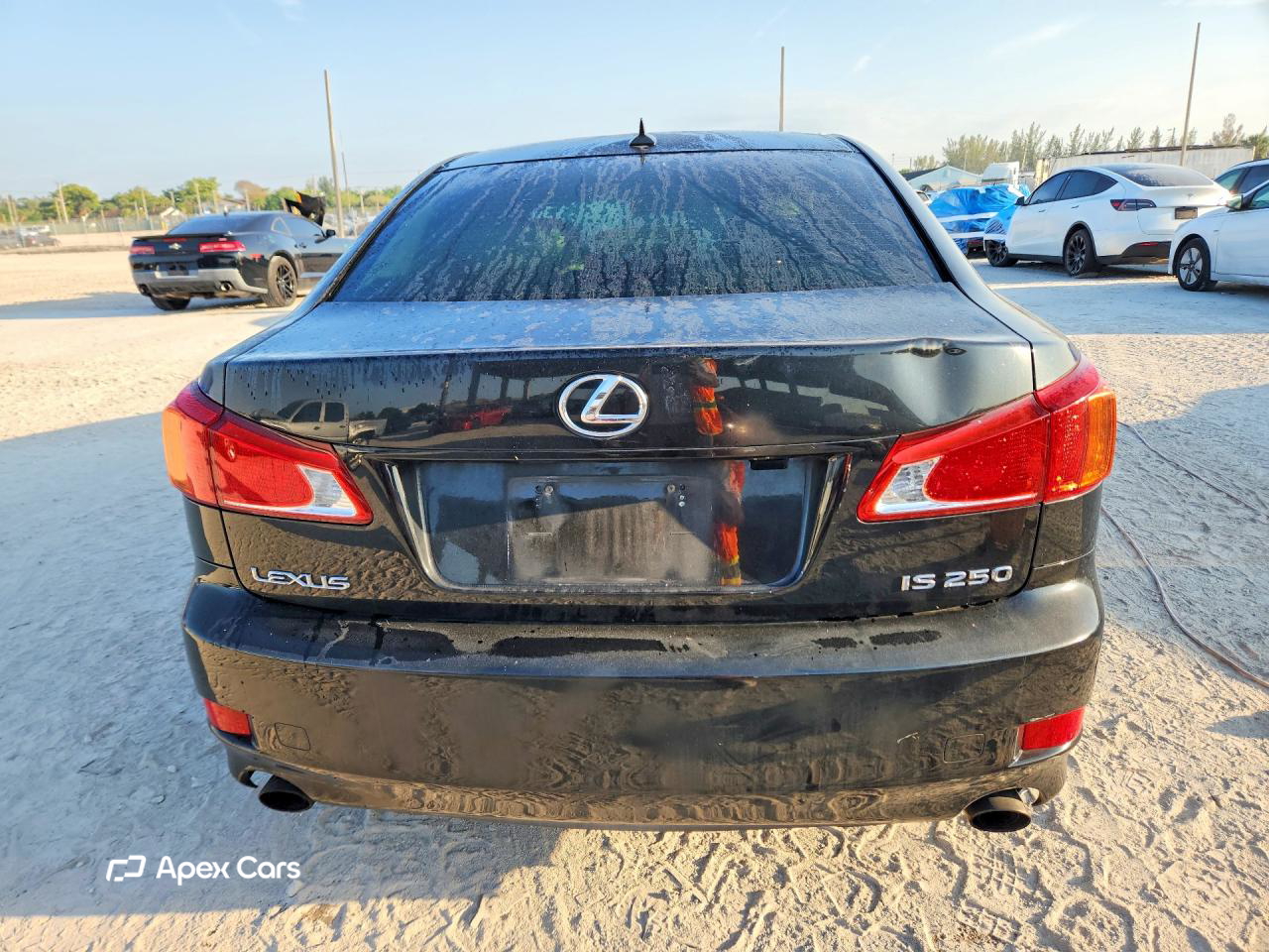 Lexus IS 2009