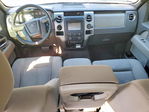 Ford  2009