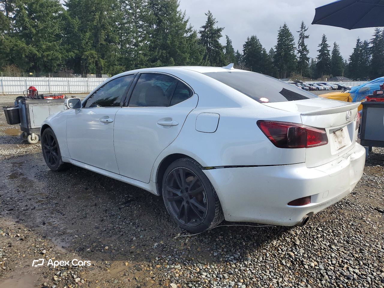 Lexus IS 2011