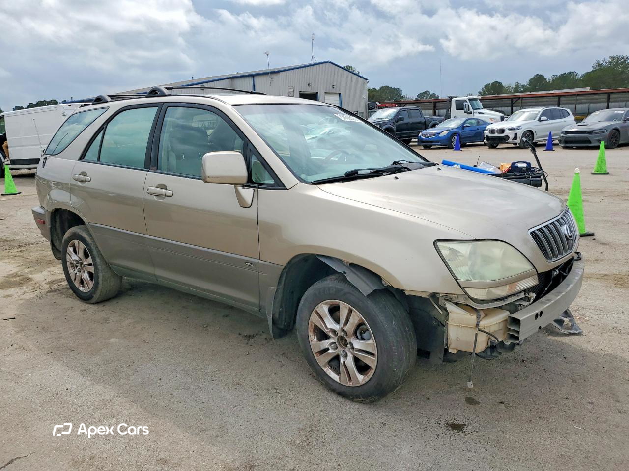 Lexus RX 2002