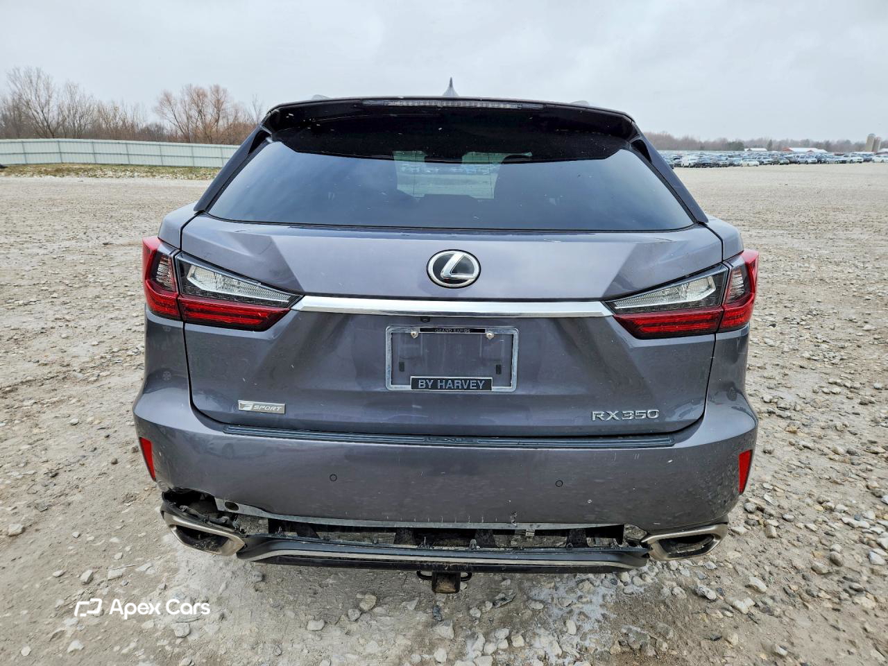Lexus RX 2019