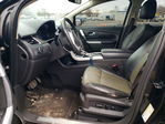 Ford Edge 2013
