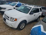 Ford Escape 2011
