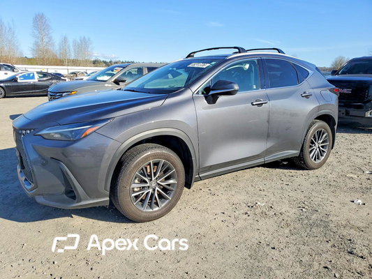Lexus NX 2024 - Image 1 of 13