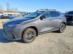 Lexus NX 2024