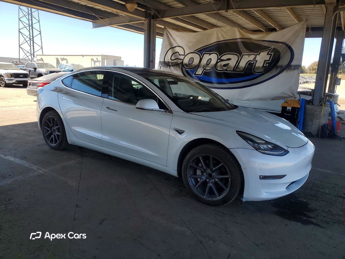 Tesla Model 3 2019