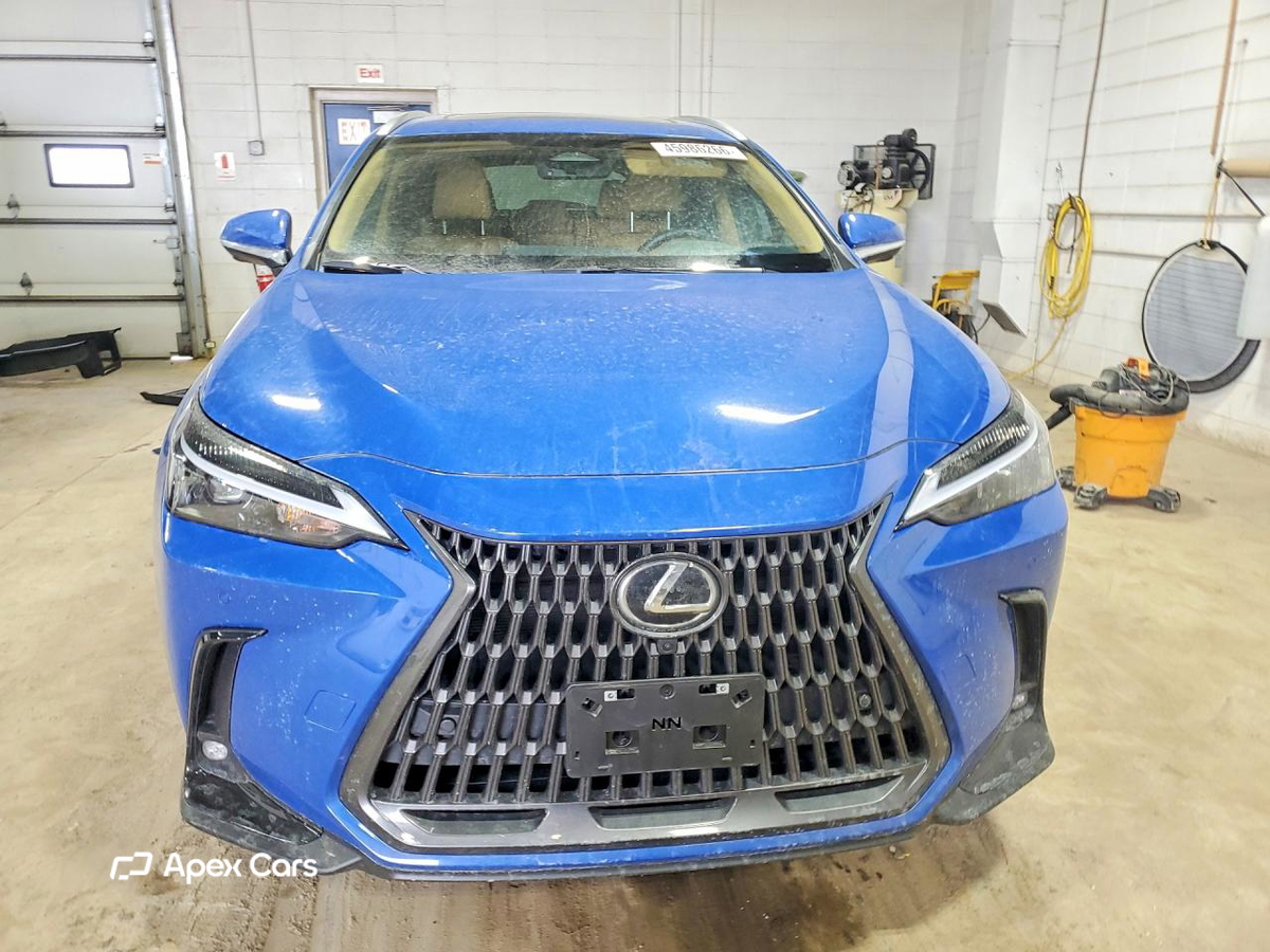 Lexus NX 2025