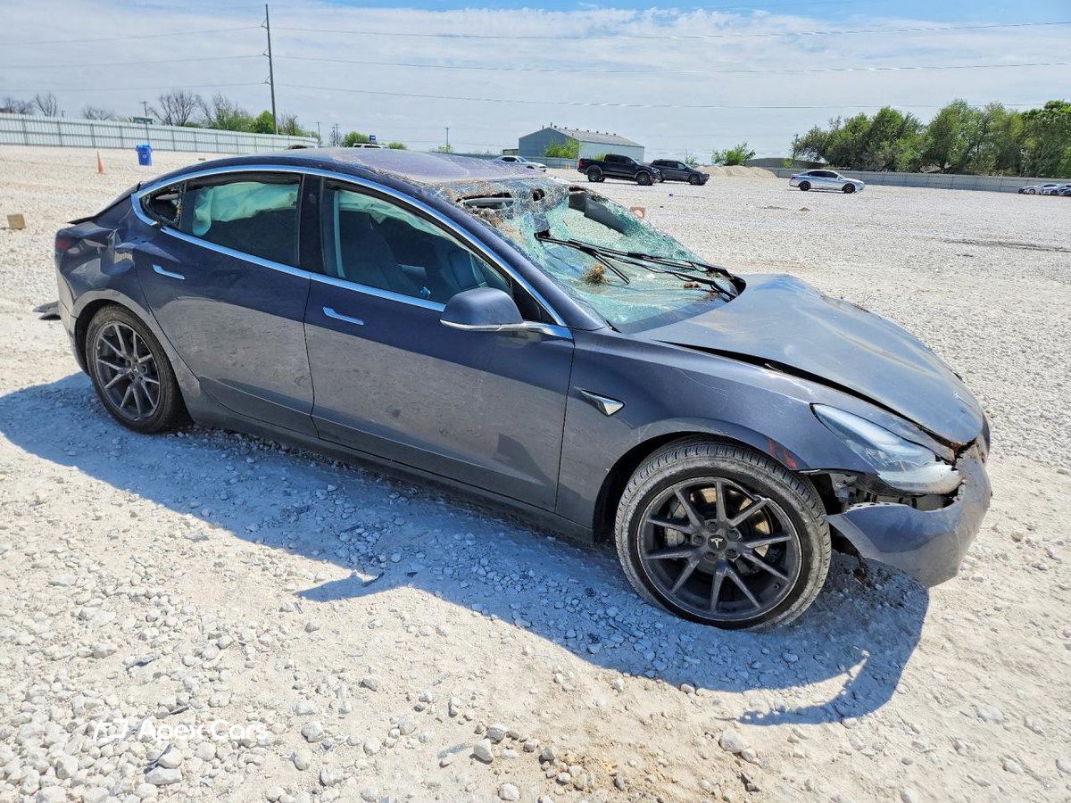 Tesla Model 3 2019