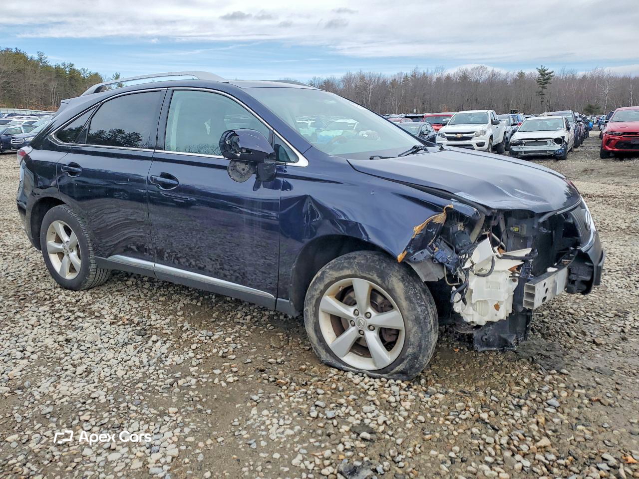 Lexus RX 2010