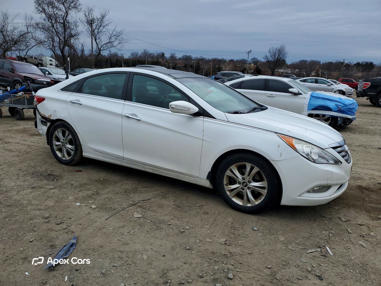 Hyundai Sonata 2013