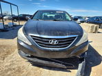 Hyundai Sonata 2011