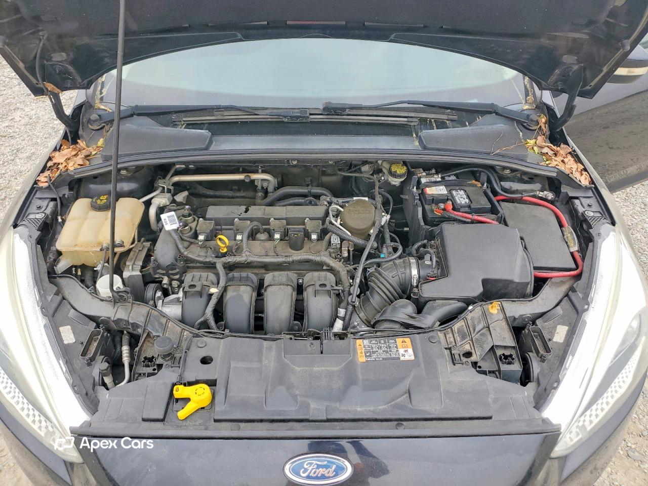 Ford Focus 2016