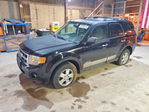 Ford Escape 2008