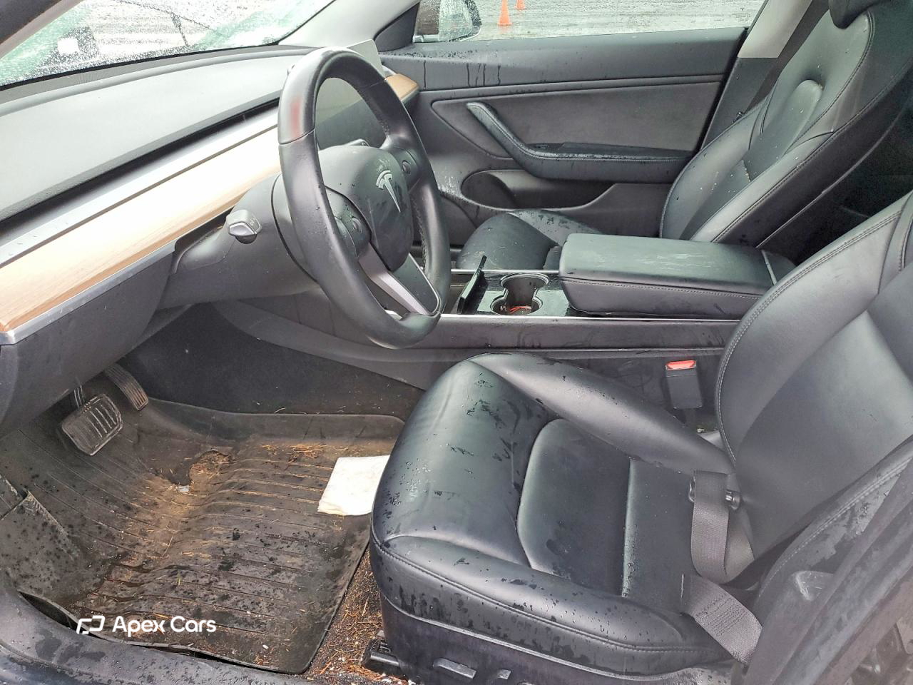Tesla Model 3 2019