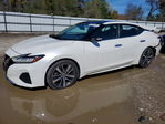 Nissan Maxima 2019