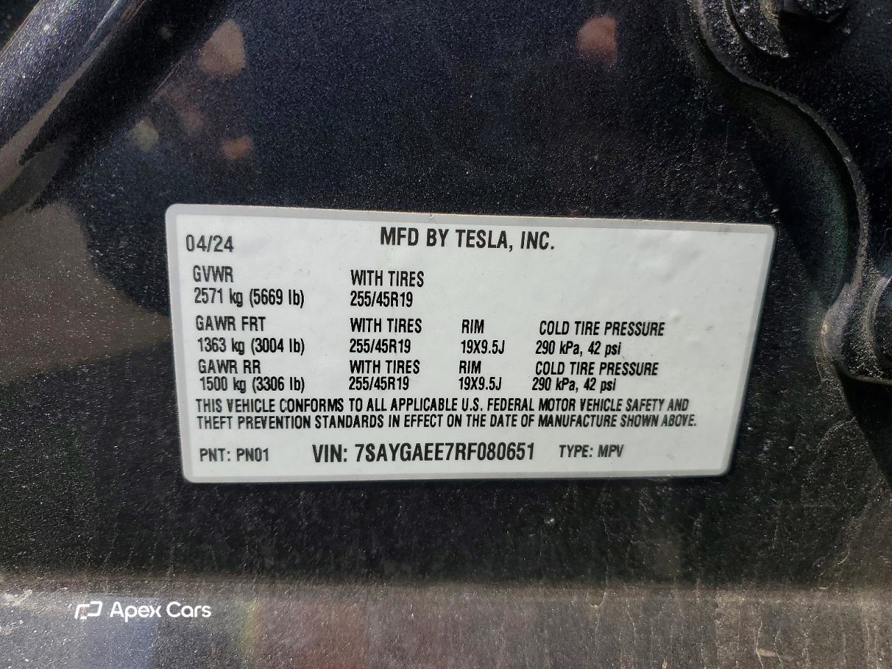 Tesla Model Y 2024