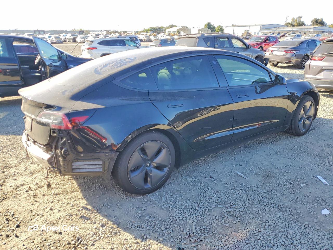 Tesla Model 3 2019
